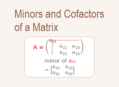Cofactors of a Matrix