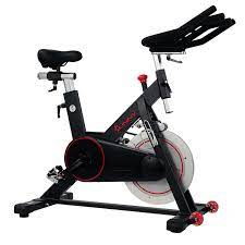 Sunny Health and Fitness Magnetic Belt Dive Bike